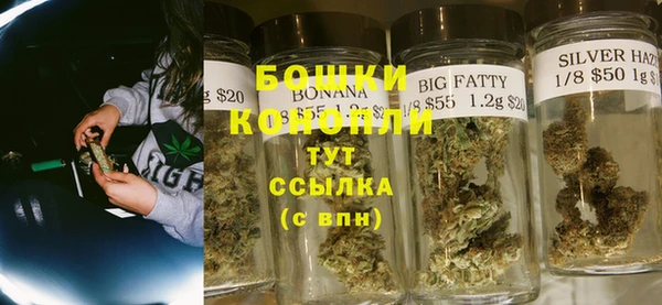 прущие грибы Баксан