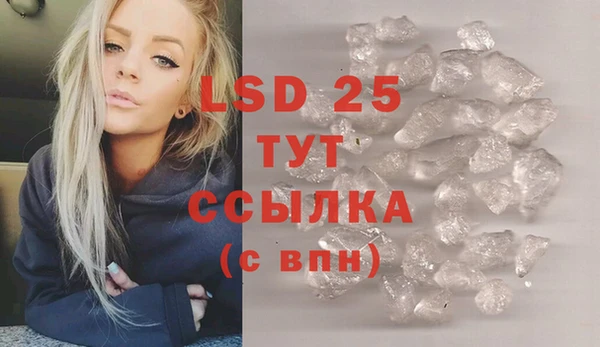 прущие грибы Баксан