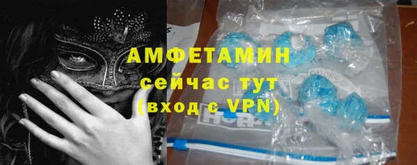прущие грибы Баксан