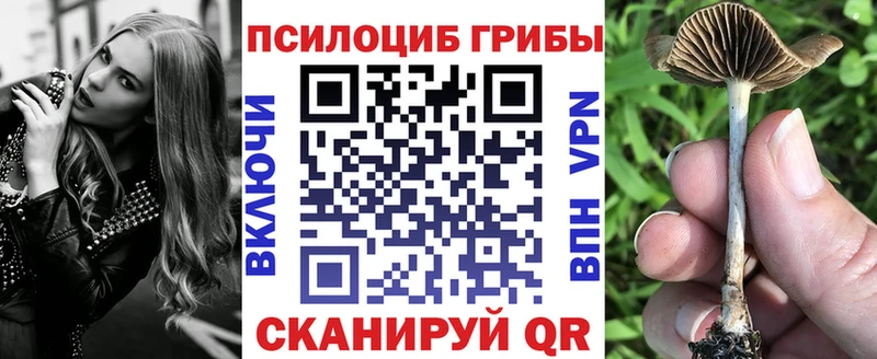 хочу Салаир Галлюциногенные грибы ЛСД